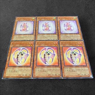 9607 [King of Games] Chrysalis Chicky Chrysalis Larva 6 sets of 3 each