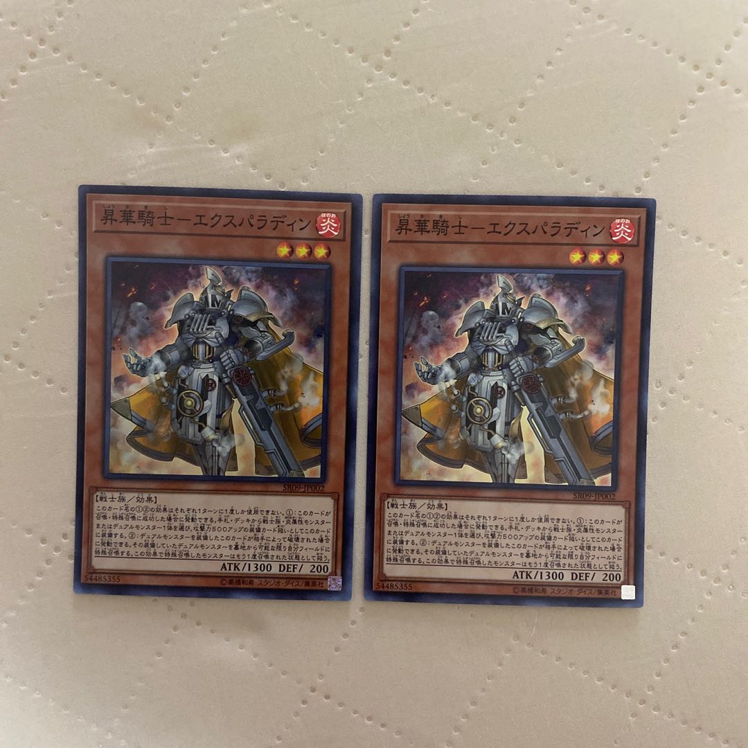 Consecrate Knight Expaladin [Super] {SR09-JP002} [Monster] 2 *. 2枚