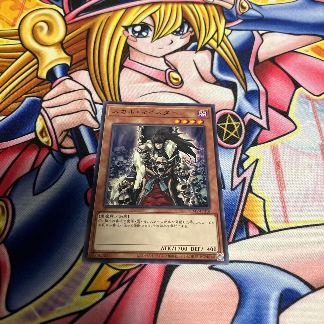 スカル・マイスター 1枚