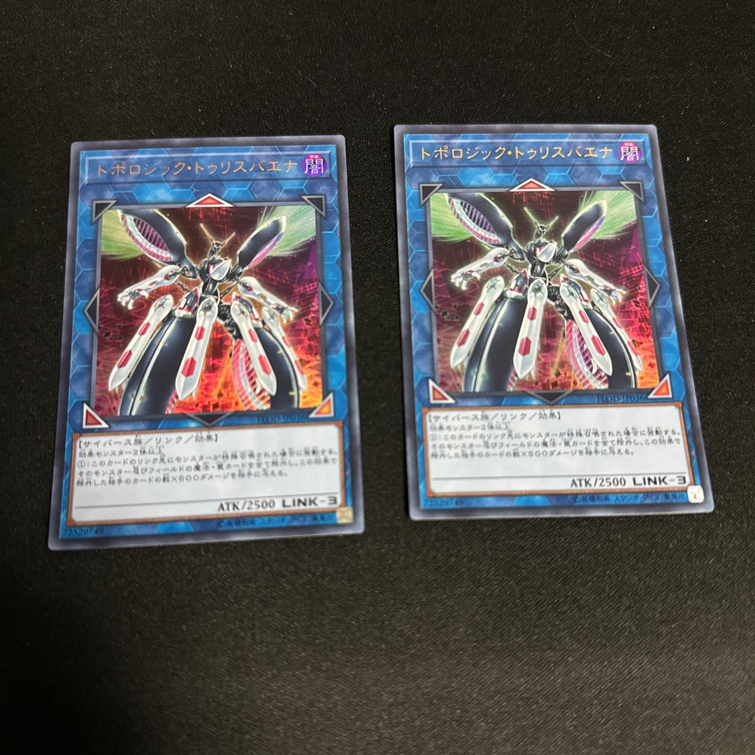 No.37 トポロジック・トゥリスバエナ 1枚