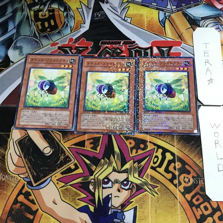 ナチュル・フライトフライ DT06 2 デュエルターミナル 3枚セット てら