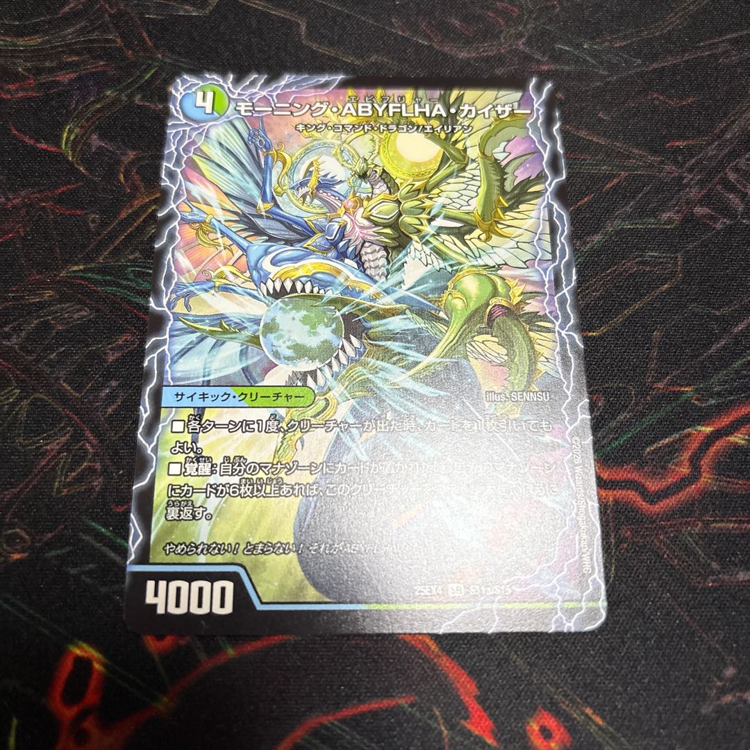 彩加様専用 4枚