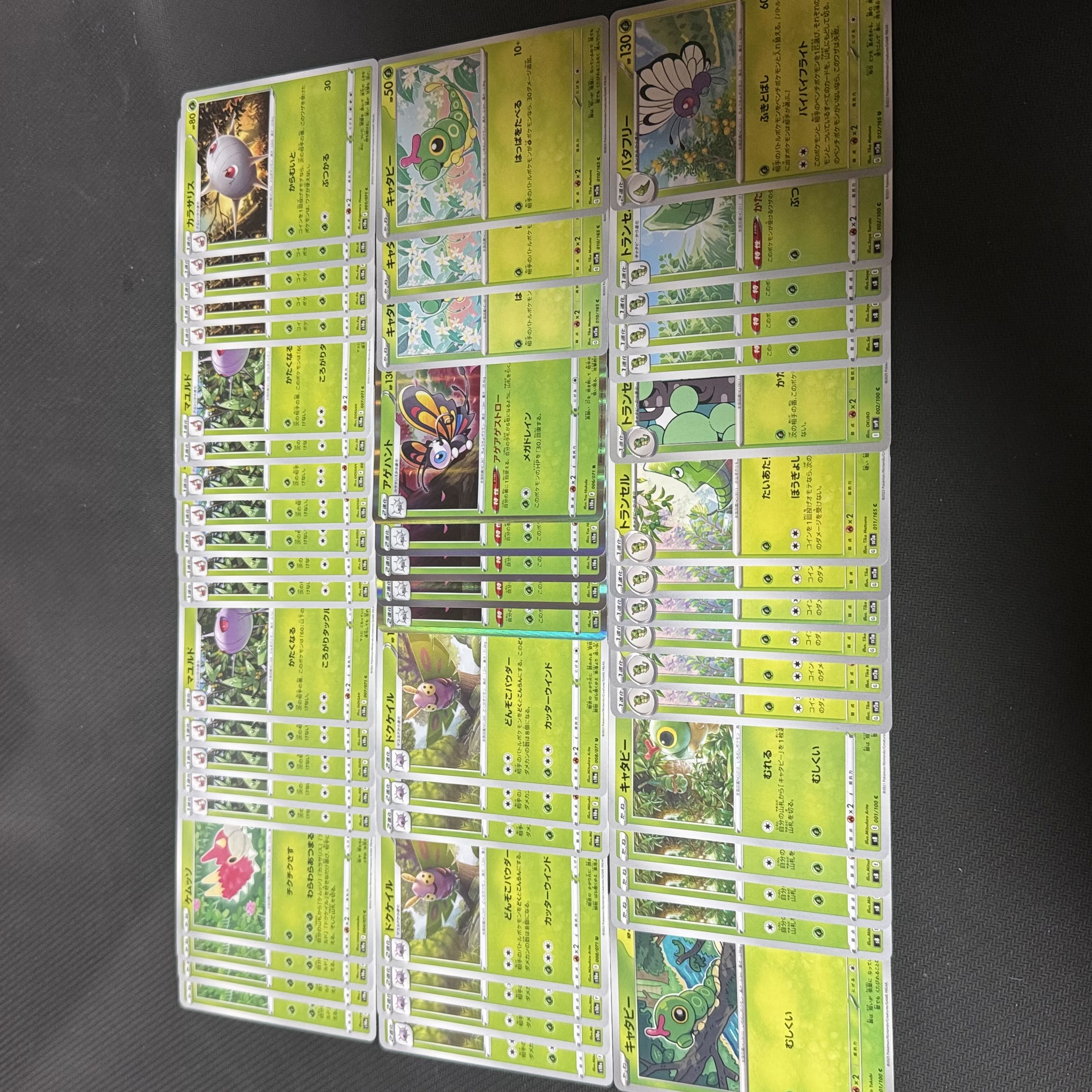 33 ケムッソ マユルド カラサリス ドクケイルアゲハント 他53枚 30枚