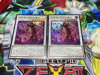 Y-2330 黒薔薇と荊棘の魔女 スーパーレア DOOD-JP040