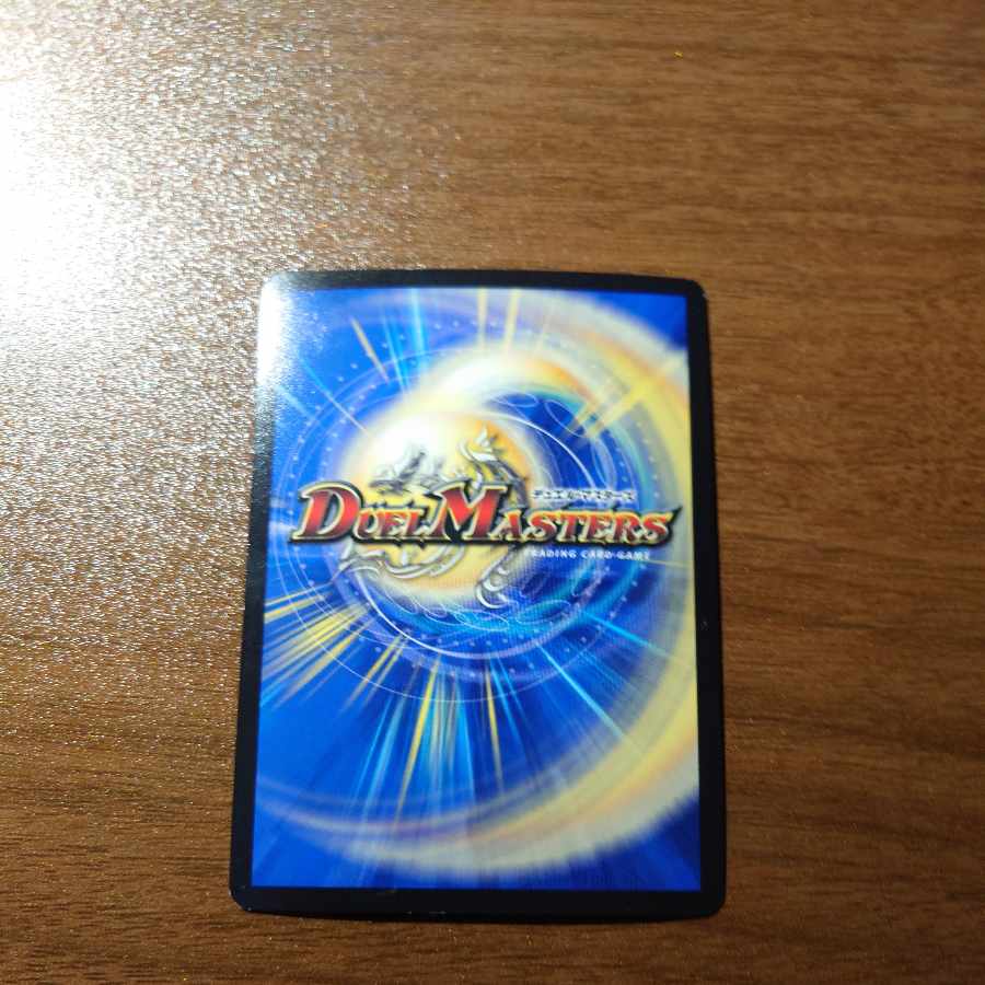 勝利龍装 クラッシュ“覇道” SR S7/S10