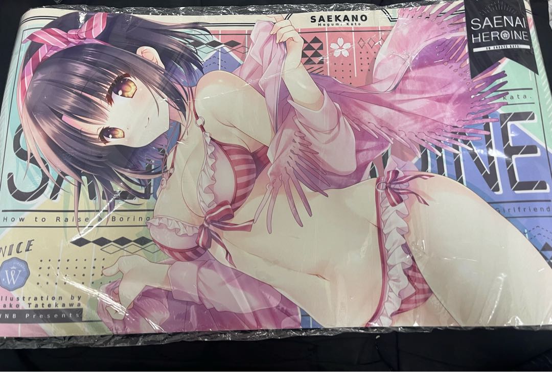 The Raising of a Saerenai Kano Megumi Kato Water Kimono Play Mat Yatogawa Mako WNB Wamb...