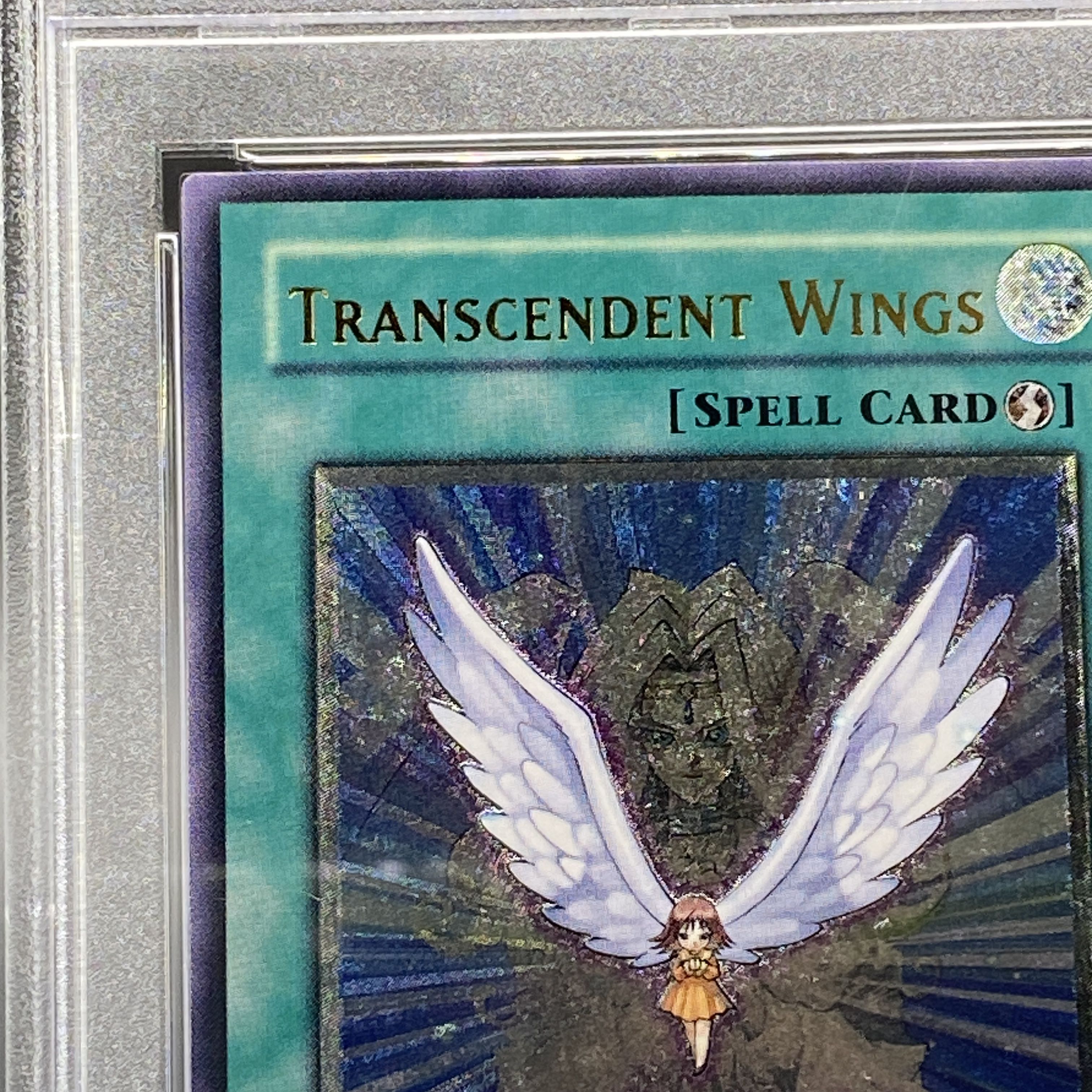 遊戯王 進化する翼 旧アジア レリーフ