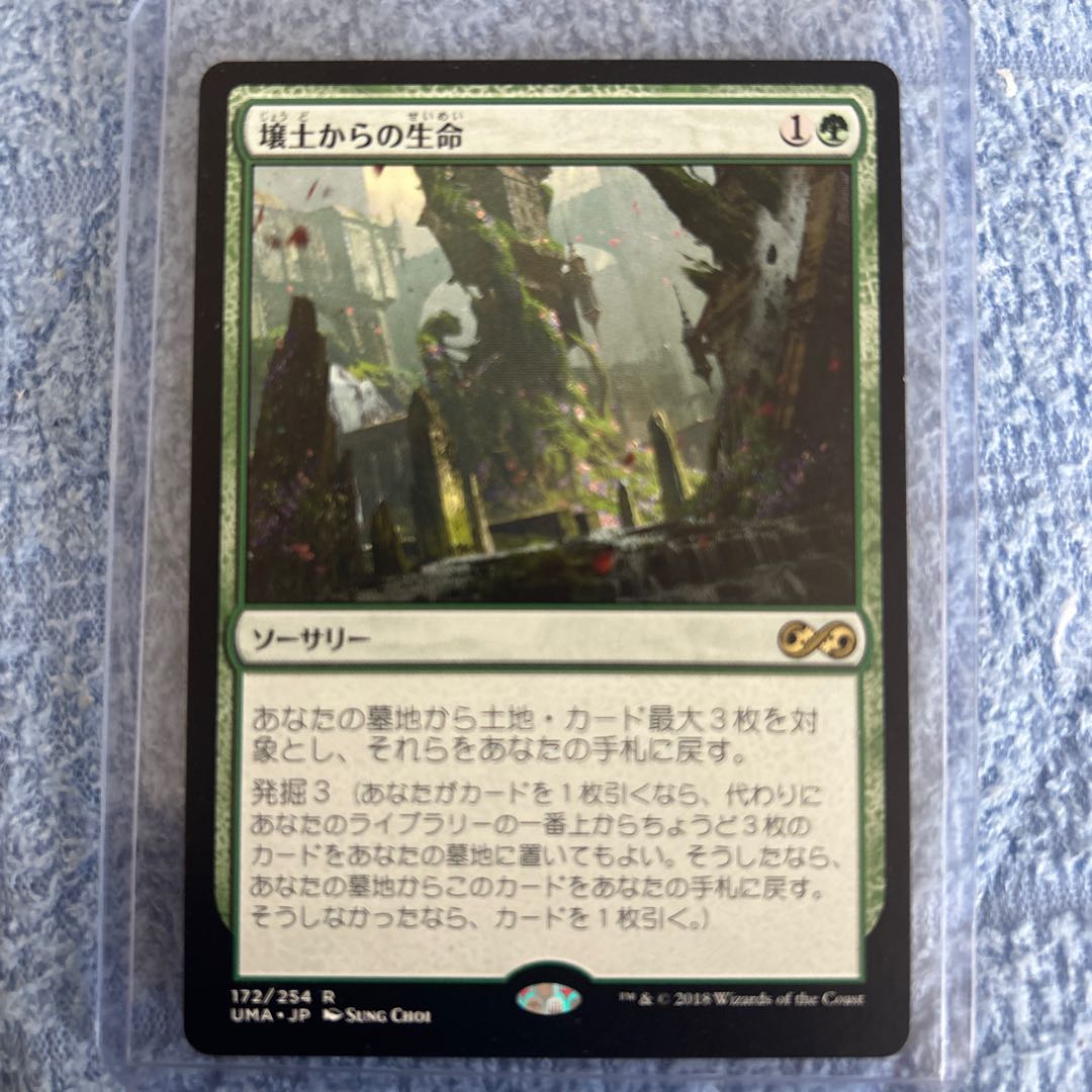 壌土からの生命 レア 172/254 1枚