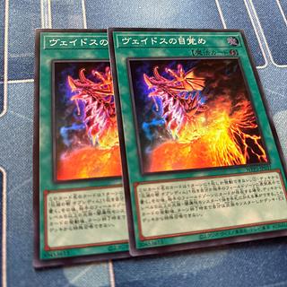 ヴェイドスの目覚め スーパー