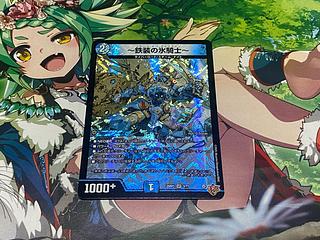 ～鉄装の氷騎士～