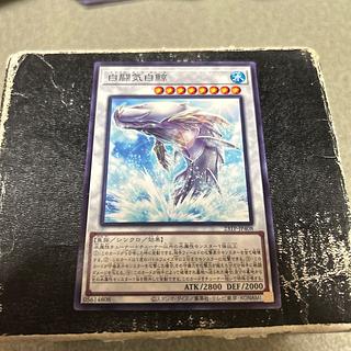 White Aura Whale Normal