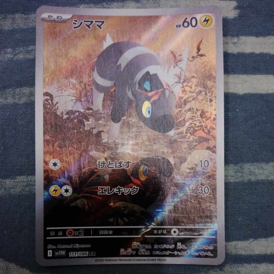 シママ AR 111/086 1枚