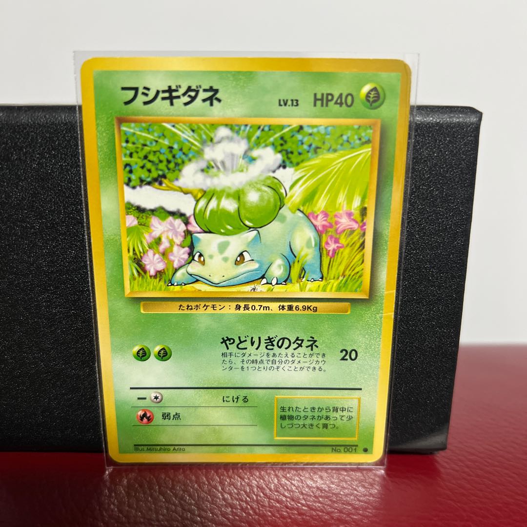 Bulbasaur Old Back 1枚