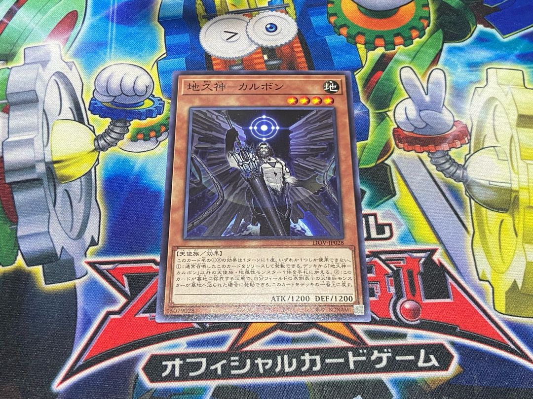 Y-4499 地久神-カルボン ノーマル JP028 1枚