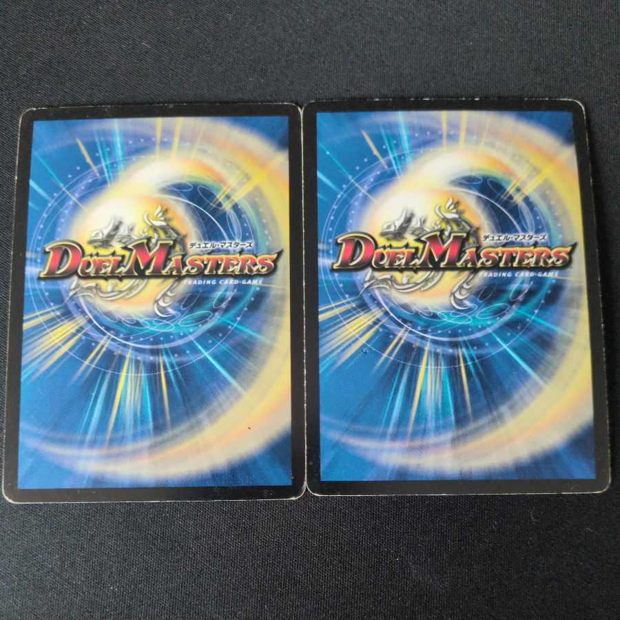 Ryugokujin Geki VR 3/110/Y6 2枚