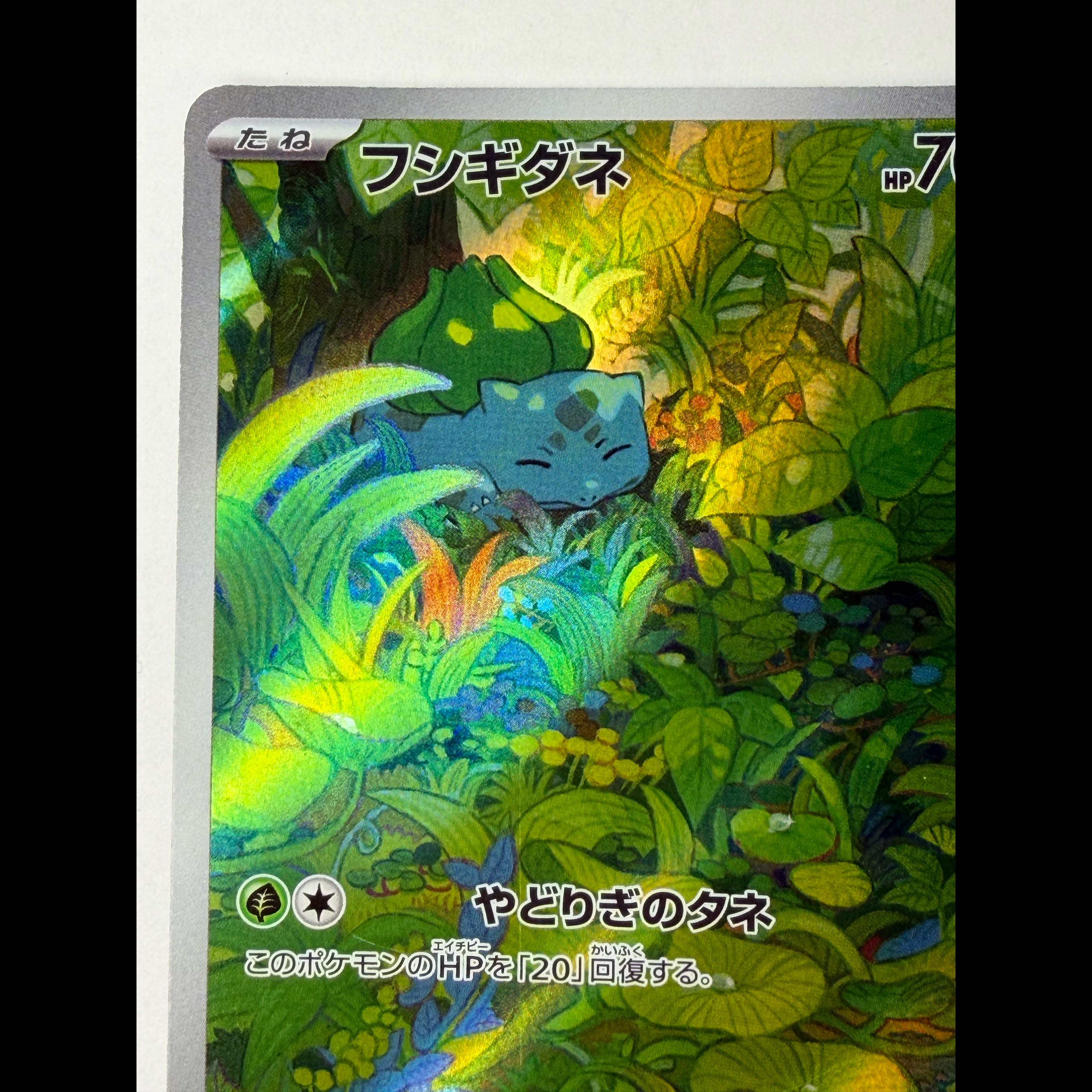 Bulbasaur AR 166/165 1枚