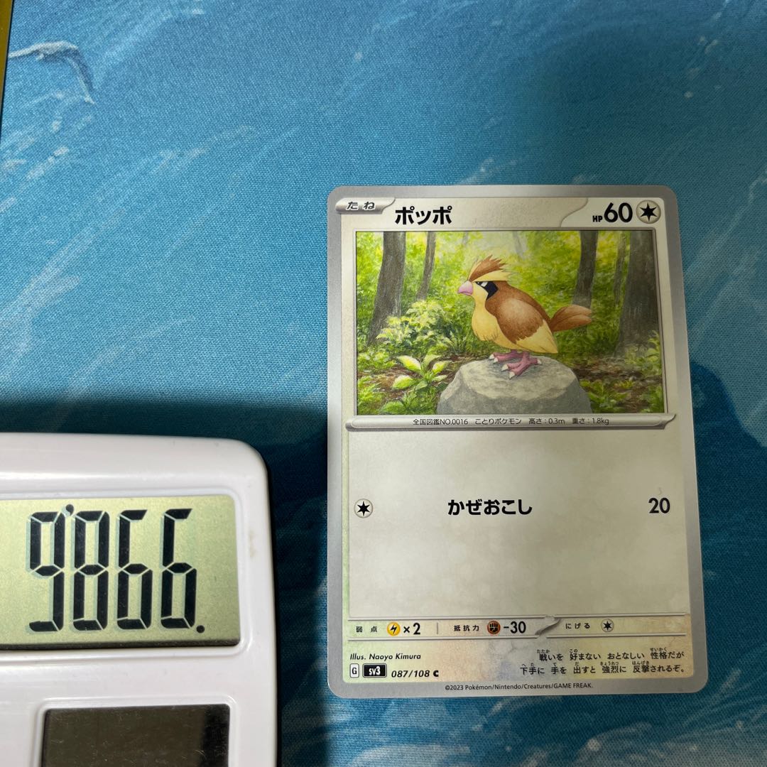 Pocketka 3 Pidgey