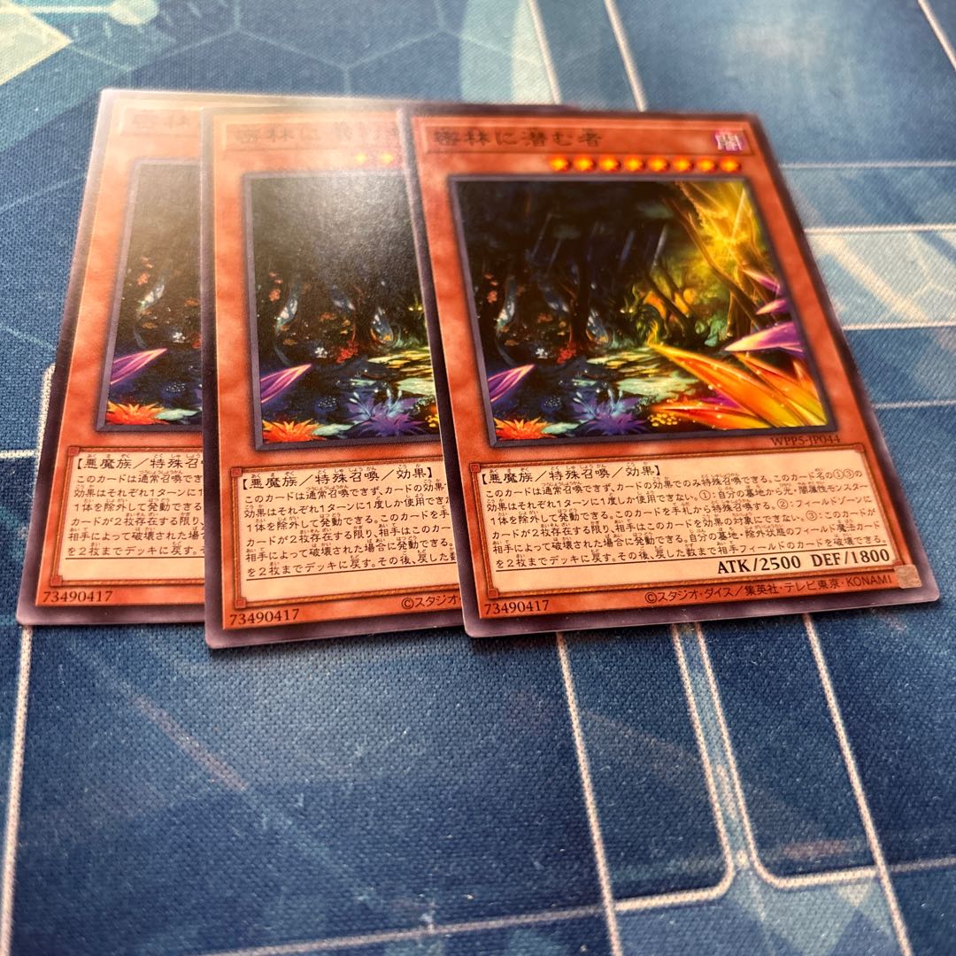 密林に潜む者 1枚