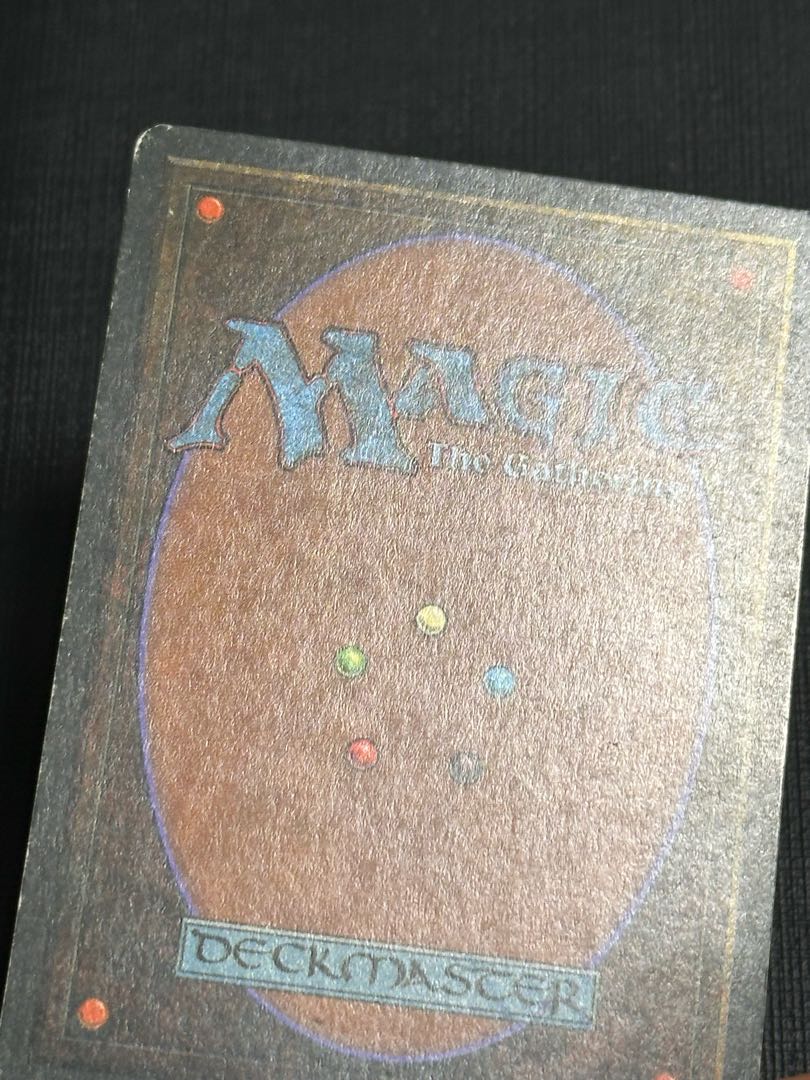 Volcanic Island レア 291/306 1枚