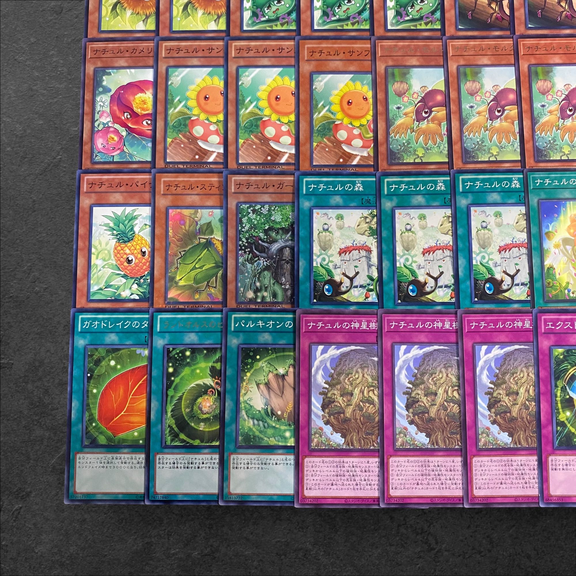 8009【遊戯王】ナチュル〈デッキパーツ〉50枚セット