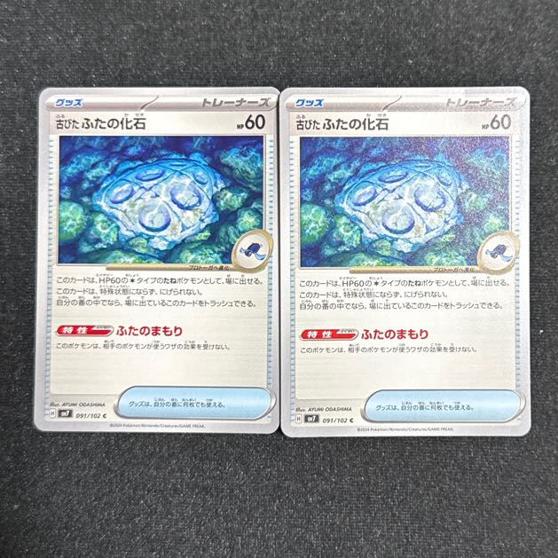 [two] Old lid fossil C 091/102