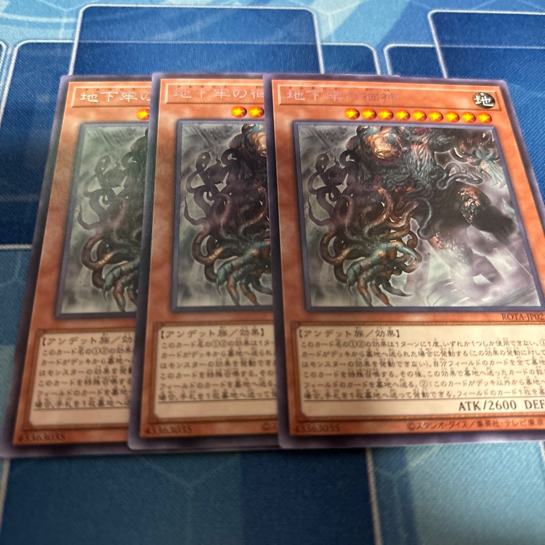 地下牢の徊神 レア ROTA-JP021