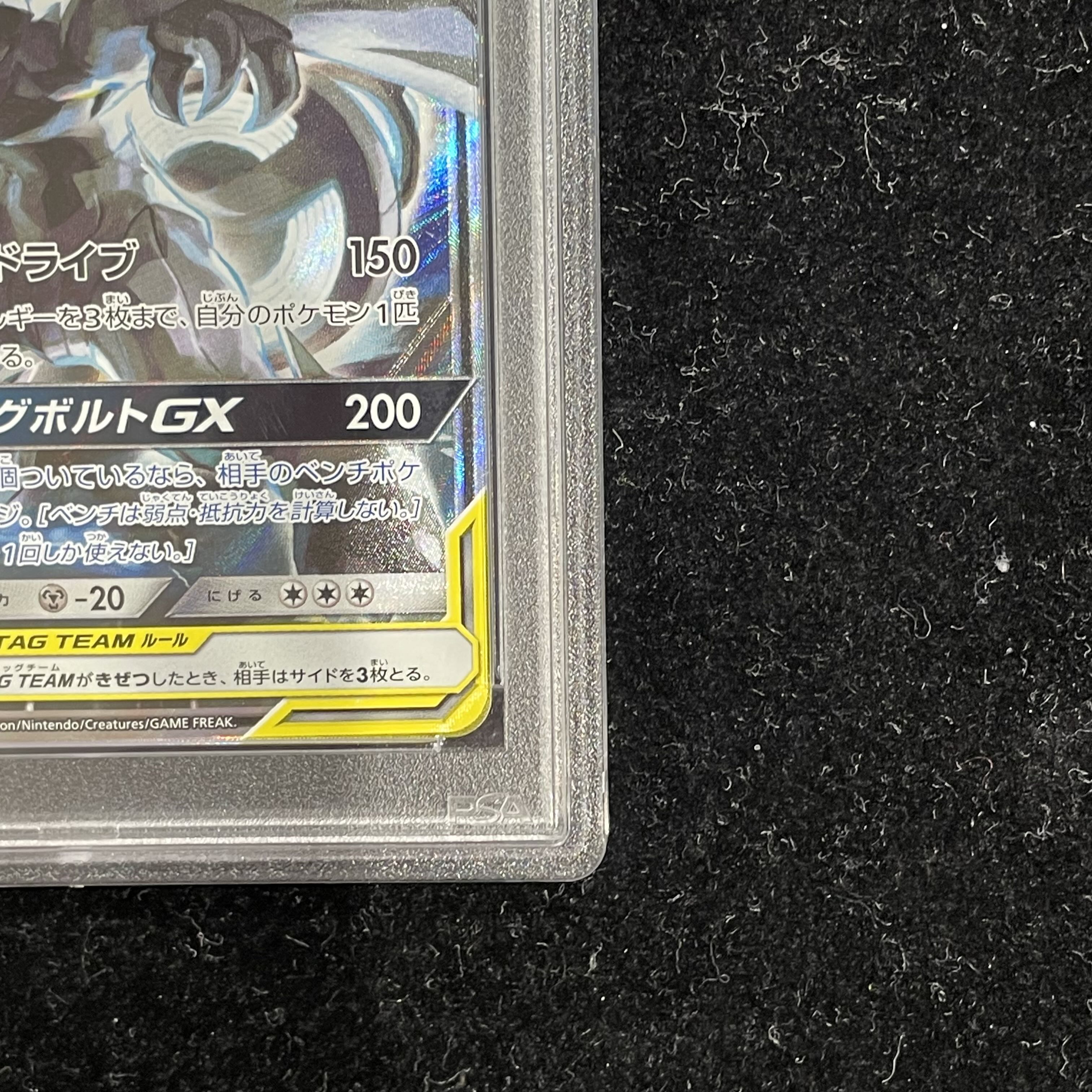 【PSA10】ピカチュウ＆ゼクロムGX SR 101/095 1枚