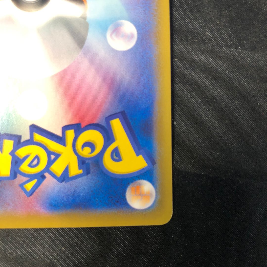 パッチルドン S 245/190 1枚