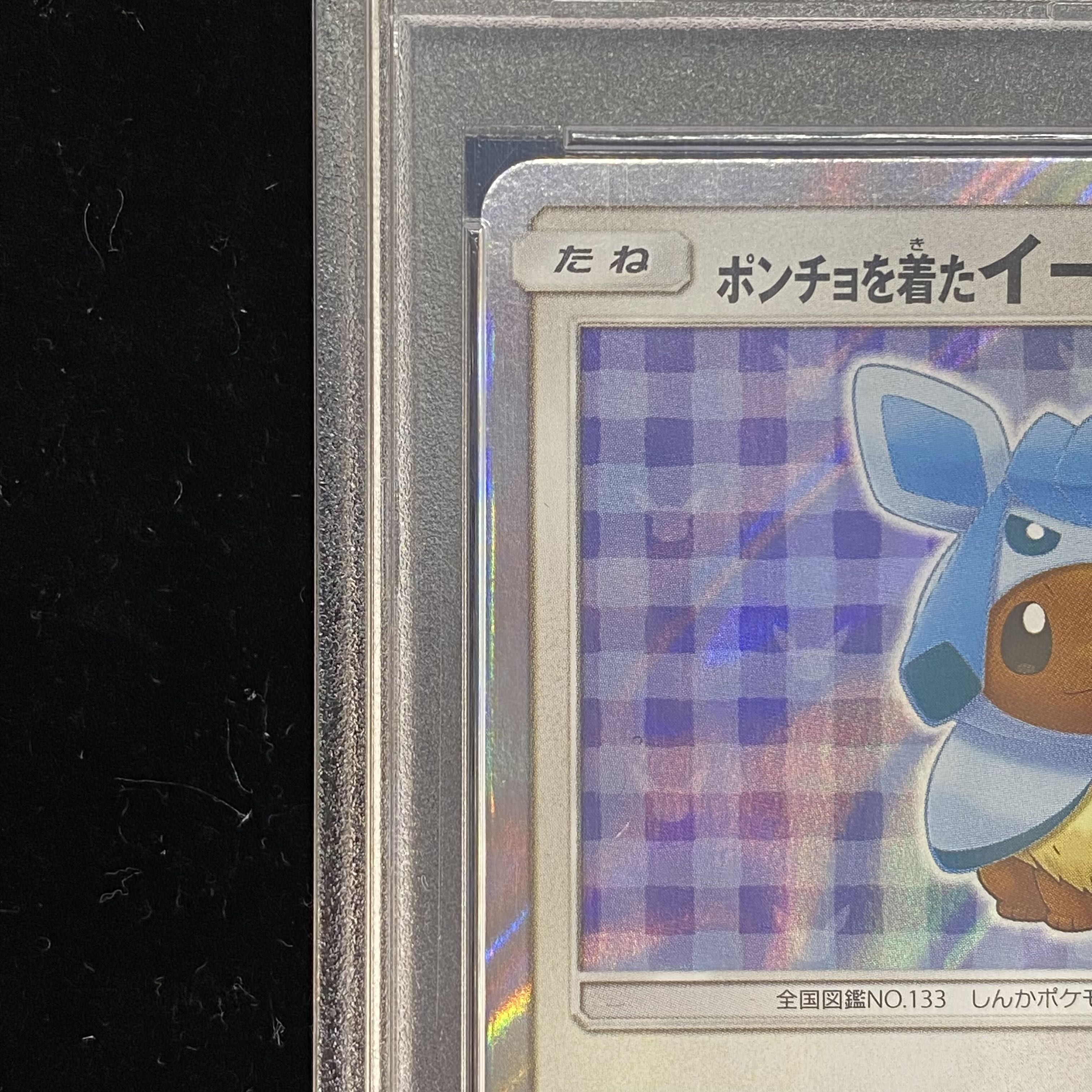 【PSA10】ポンチョを着たイーブイ PROMO 143/SM-P