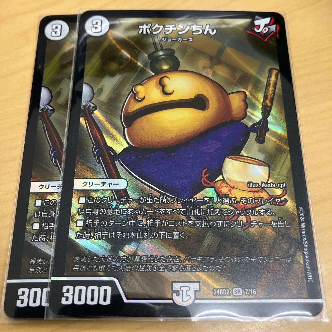 Pokuchin Chin SR 9/84