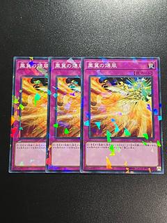 Yu-Gi-Oh Studio 3 copies Phoenix Wing Wind Blast Parallel Normal JP045