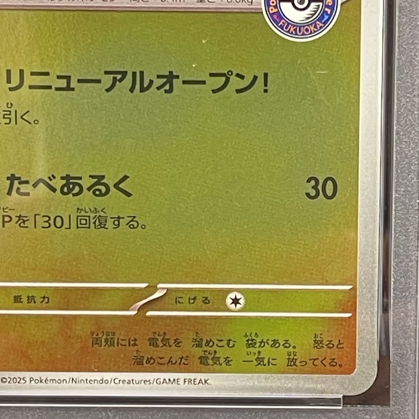 【PSA10】フクオカのピカチュウ PROMO 289/SV-P 1枚