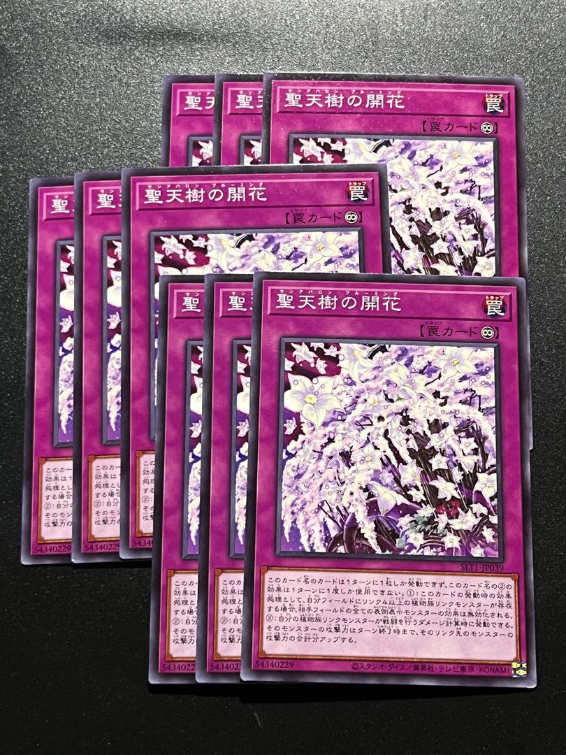 遊戯王スタジオ 9枚 聖天樹の開花 ノーマル JP039