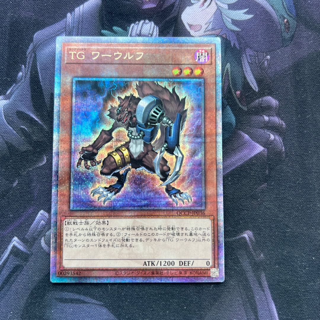TG ワーウルフ QCSE・25thシク　A-00094 1枚