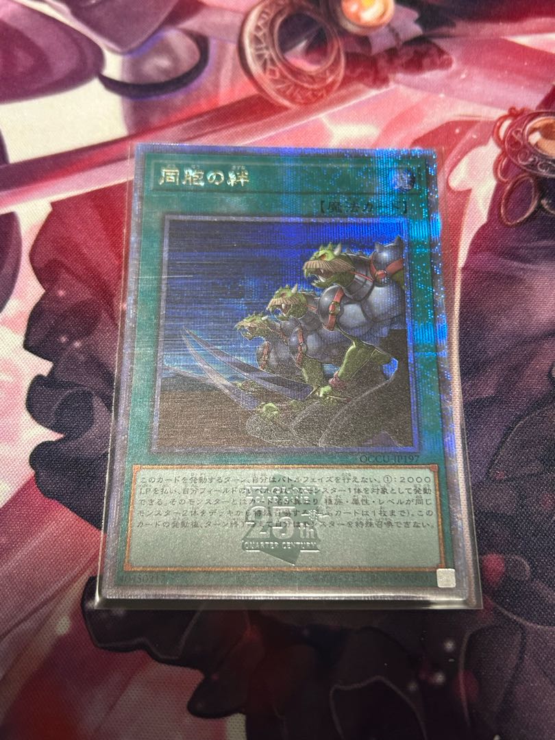 Ties of the Brethren QCSE, 25th Sikh QCCU-JP197