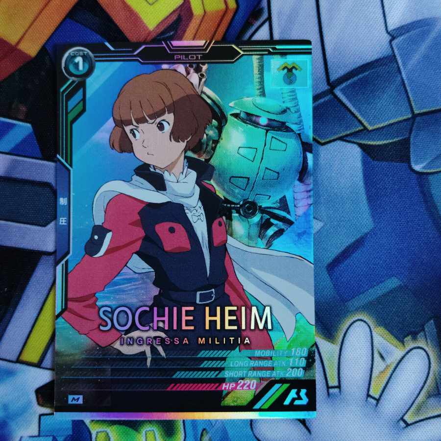 ソシエ・ハイム