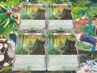 D-124 Garden of Time and Space (Black Treasure) R T2/T10 4枚