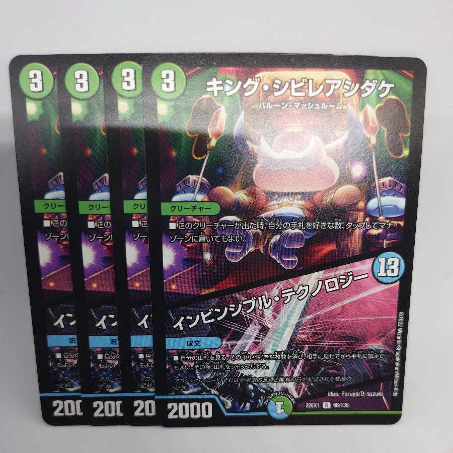 キング・シビレアシダケ｜インビンシブル・テクノロジー R 66/130 4枚