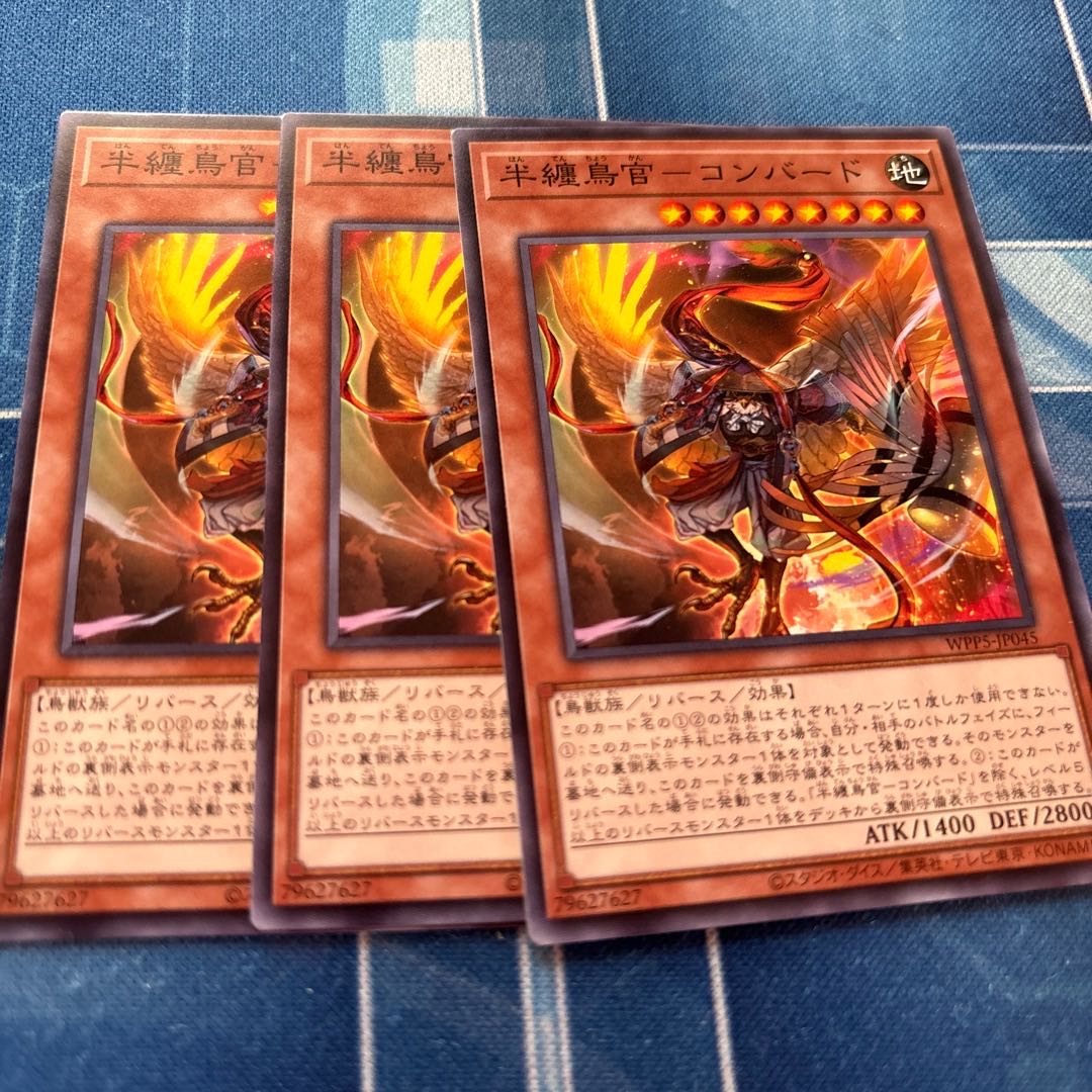 半纏鳥管-コンバード 1枚