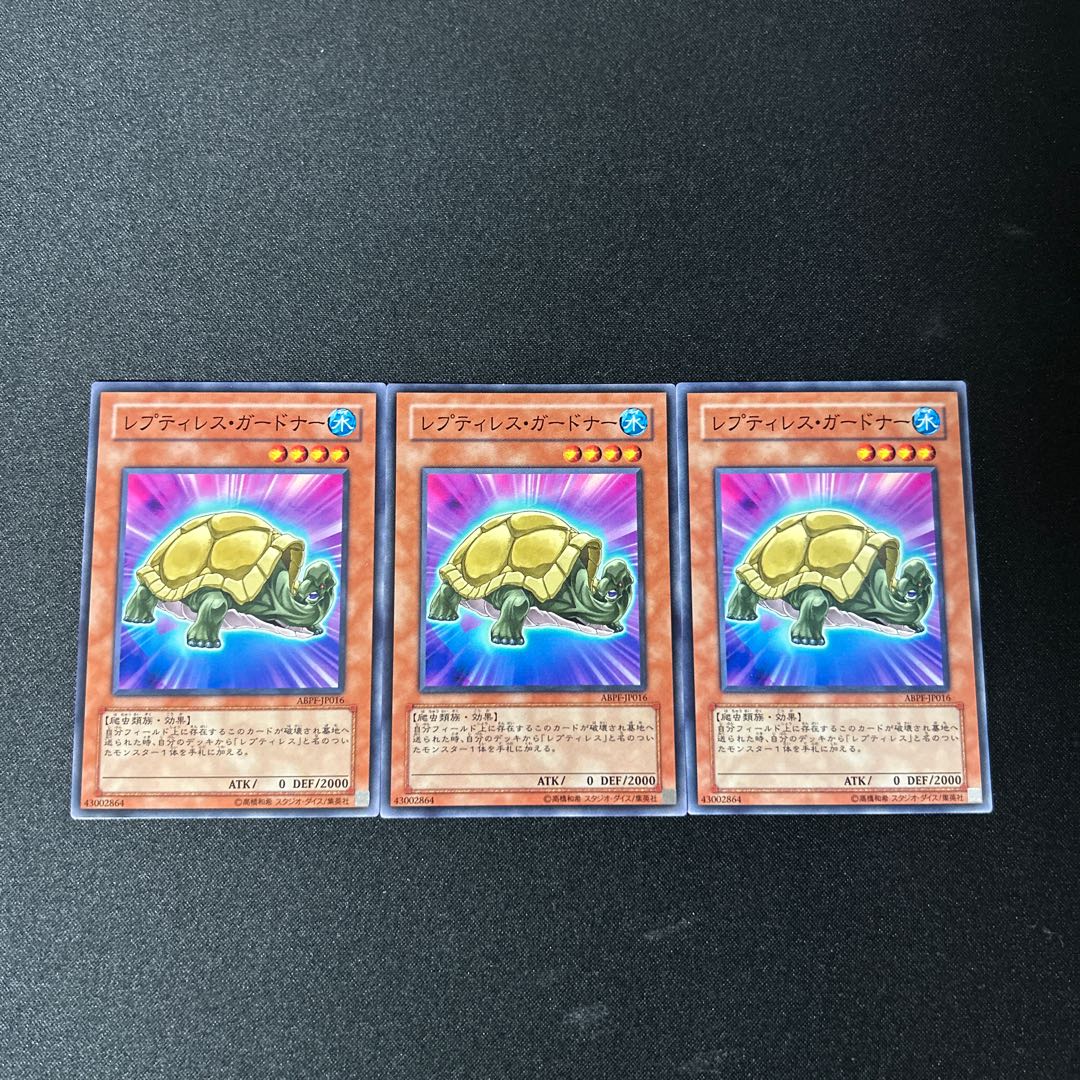 3922 レプティレス・ガードナー ノーマル JP016