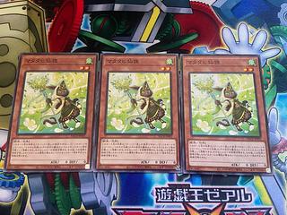 Y-843 Matatabi sengan tanuki normal JP031