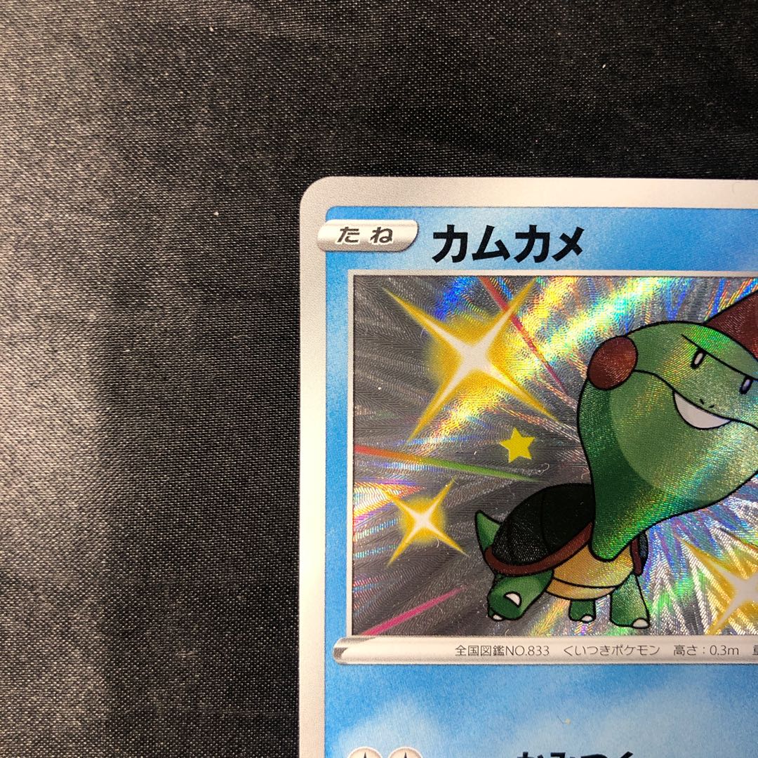 カムカメ S 227/190 1枚