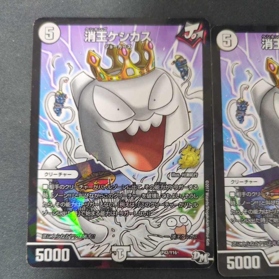 消王ケシカス P42/Y16 2枚セット 2枚