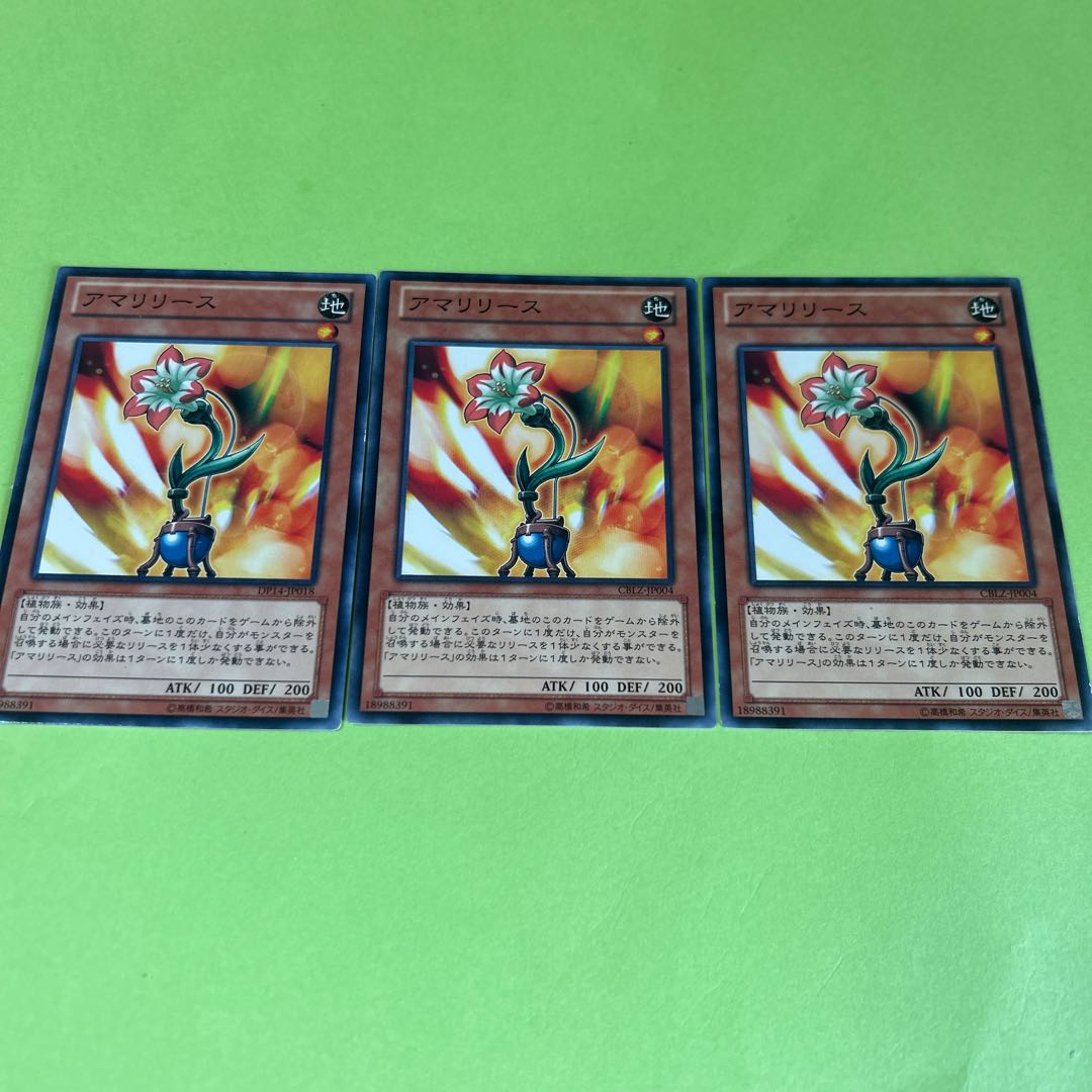 3枚セット アマリリース ノーマル JP004