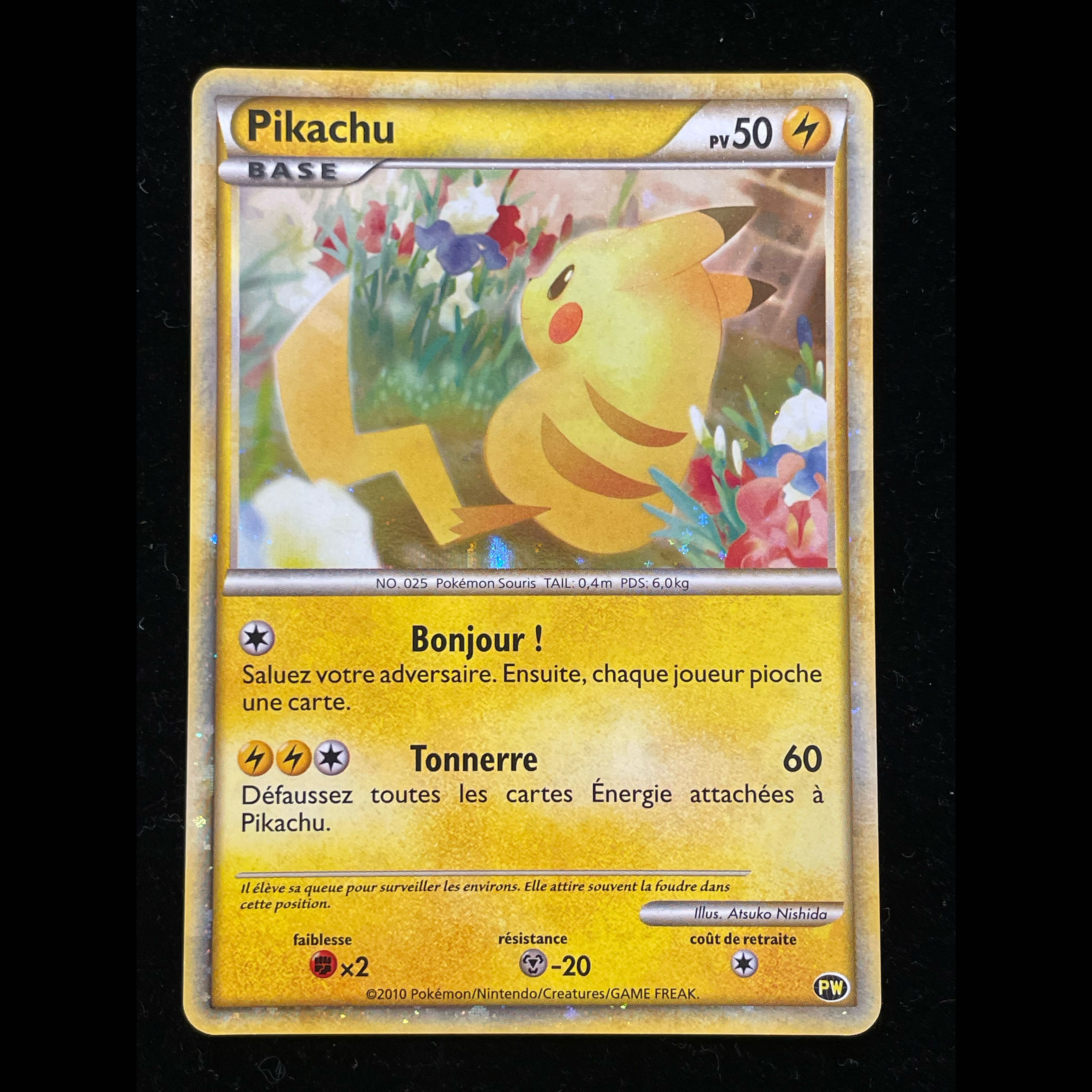 2010 ピカチュウワールド psa10 フランス語 ピカチュウ 《PIKACHU WORLD/フランス語/Atsuko Nishida》 (プロモ