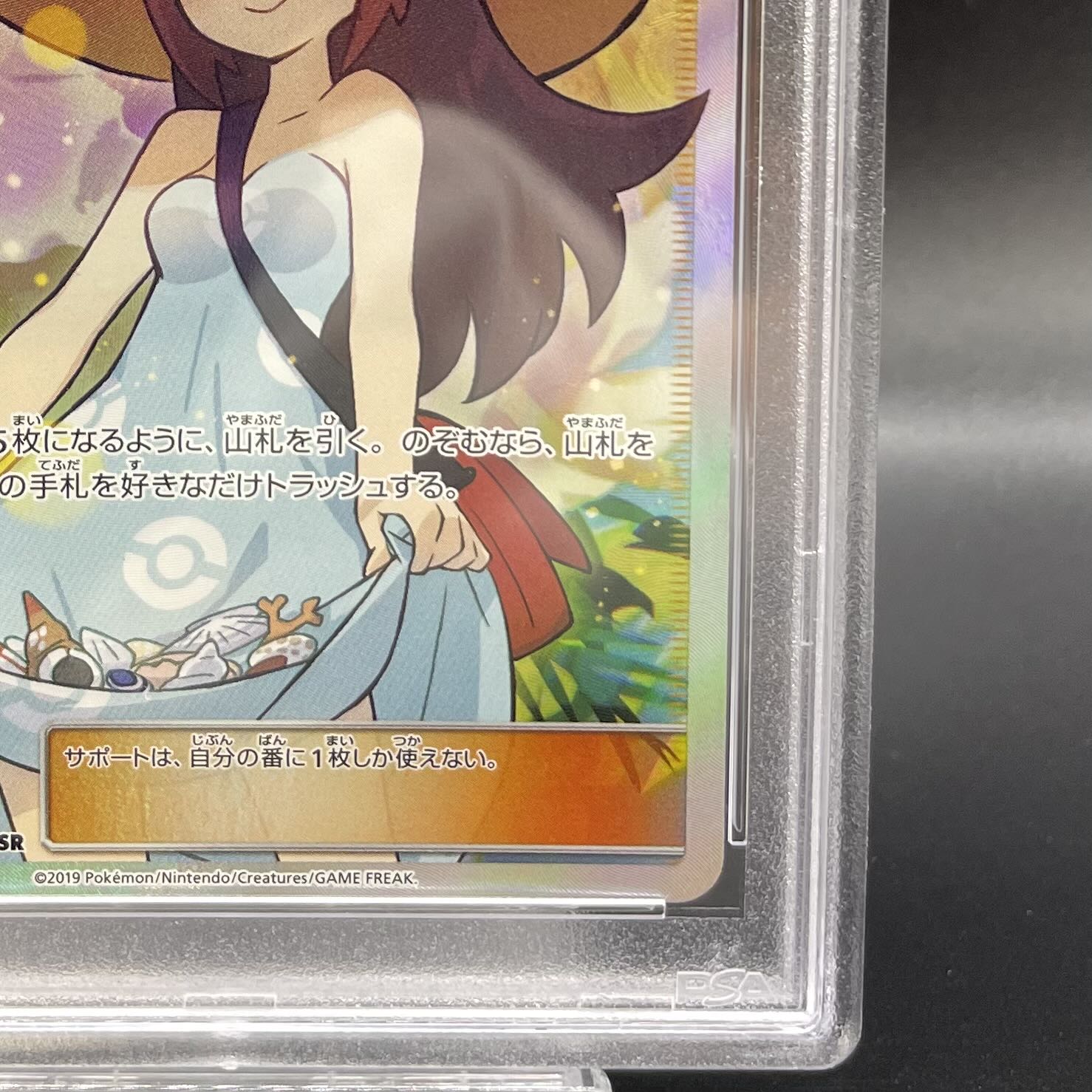 PSA10] Sightseer SR 192/173