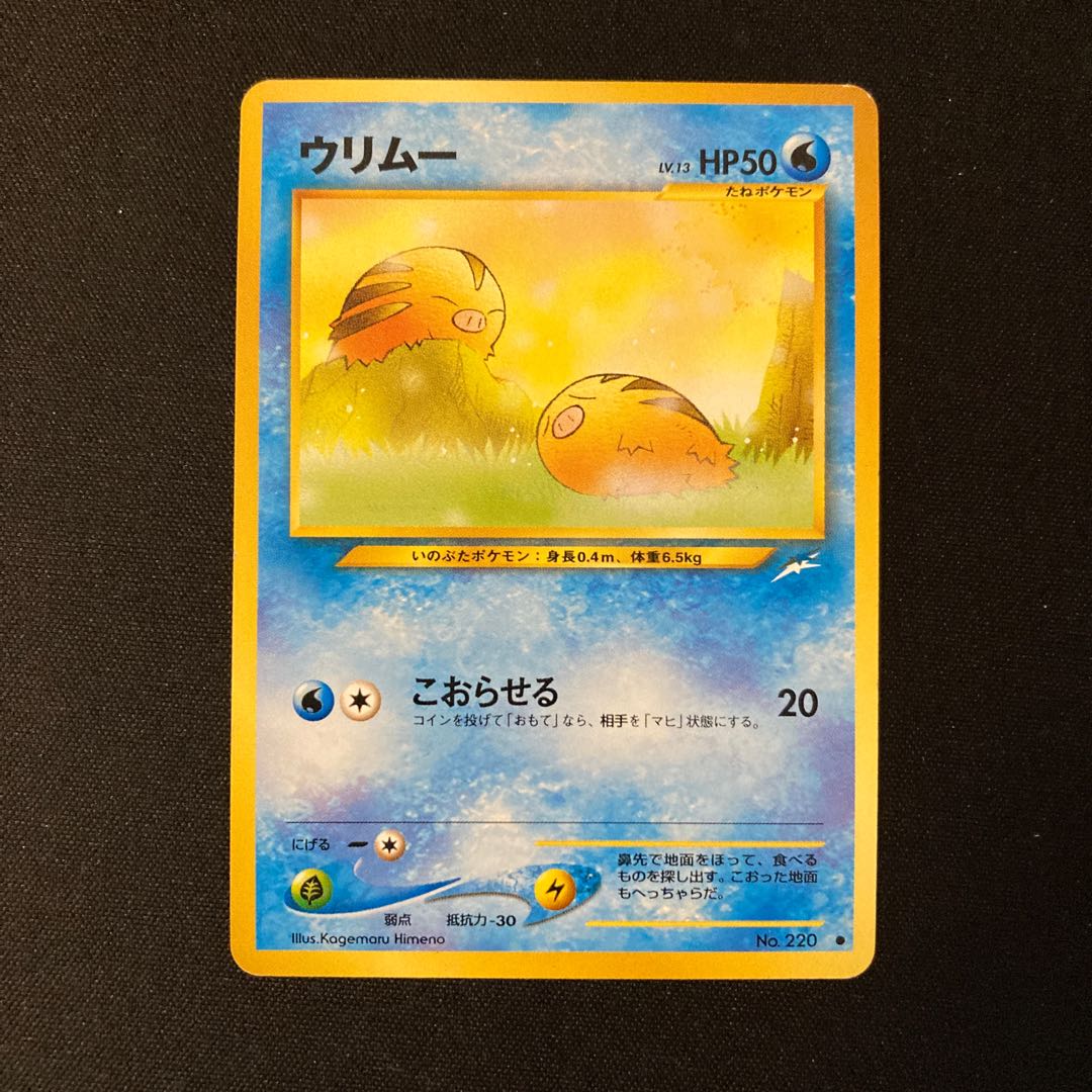 j239 Swinub Old back side Pokémon Treasure 1枚