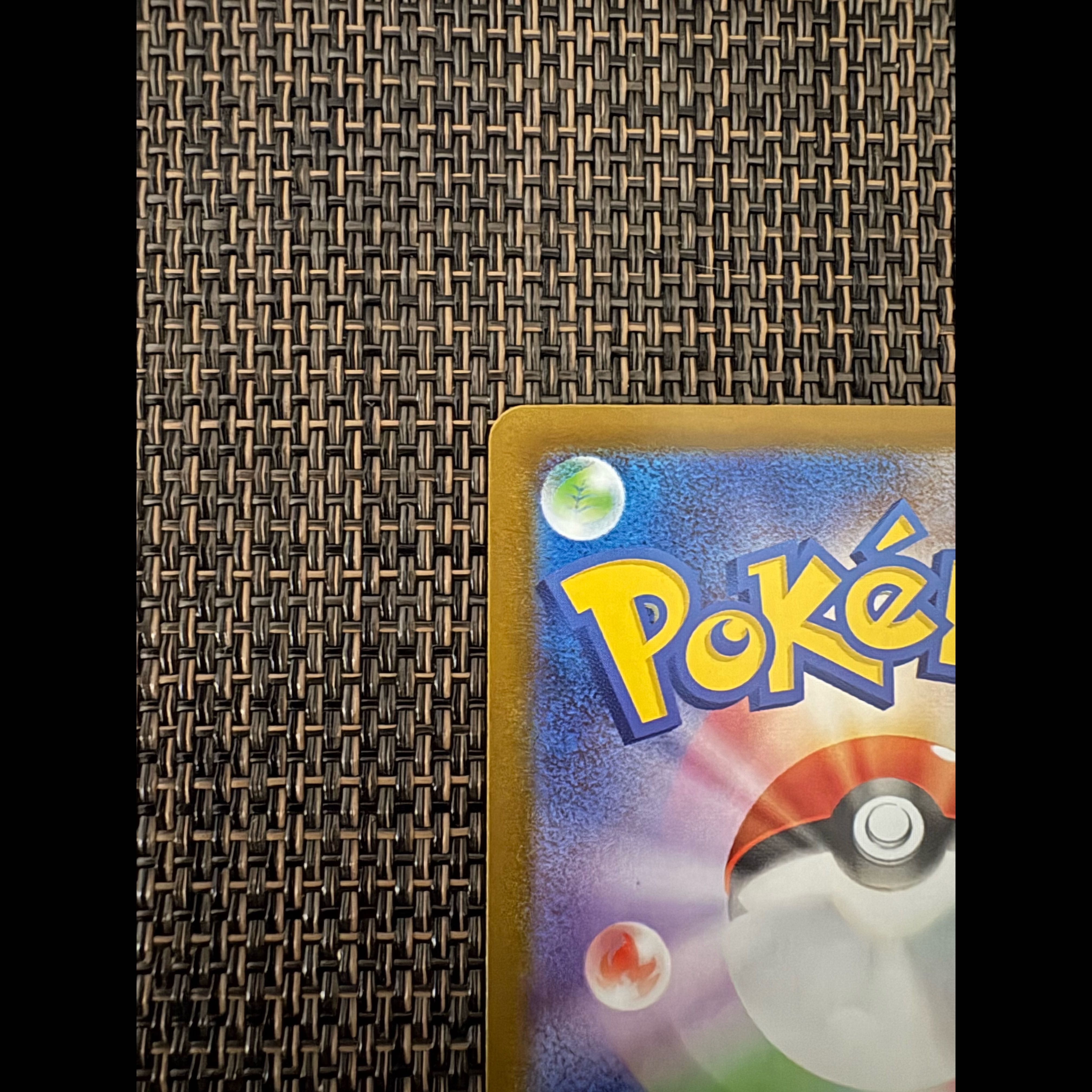 ポケモンカード メガオーダイルex SAR MC 763/742 スタートデッキ100 1枚