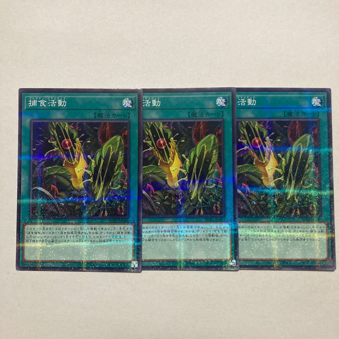 Predapractice parallel normal JP040