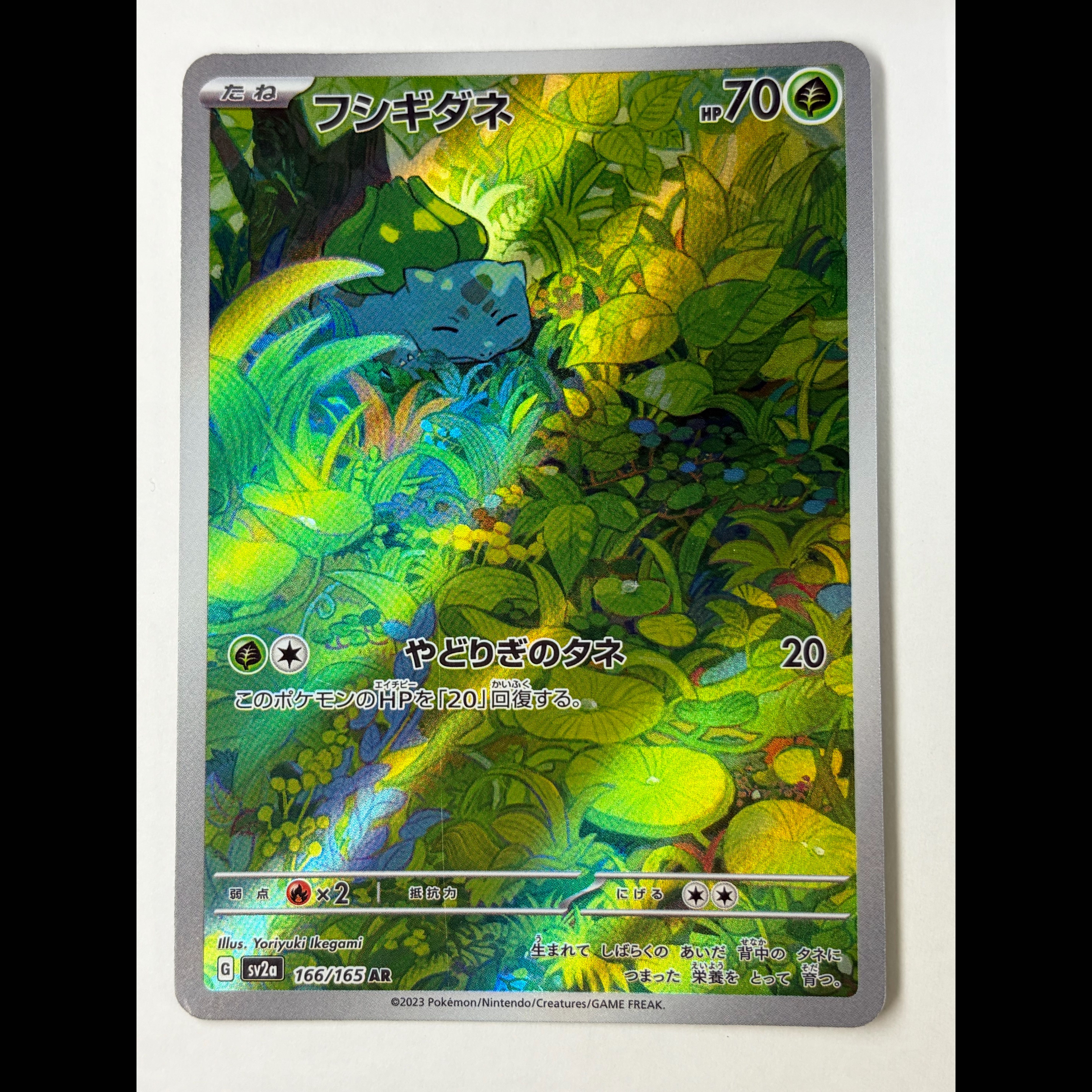 Bulbasaur AR 166/165 1枚